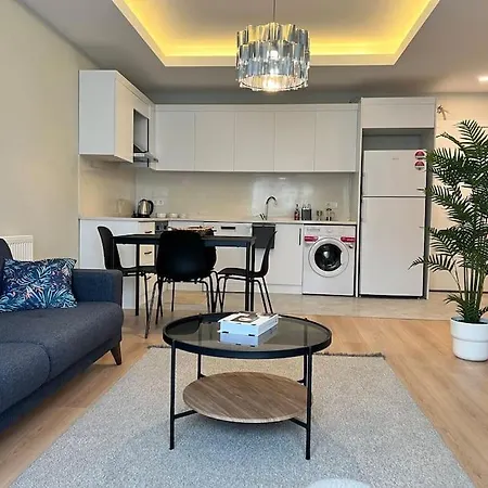 Kagithane Hep 2+1 Apartment